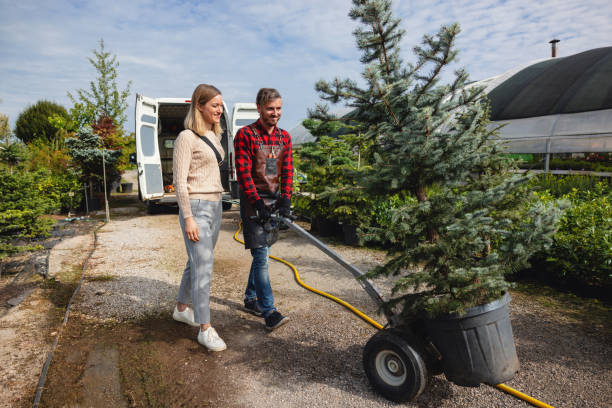 Reliable Annandale, NJ Tree Services Solutions